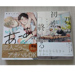 君の初恋が終わる　幸田みうなんかもうあーあって感じ。　宮田トヲルBL 2冊(ボーイズラブ(BL))