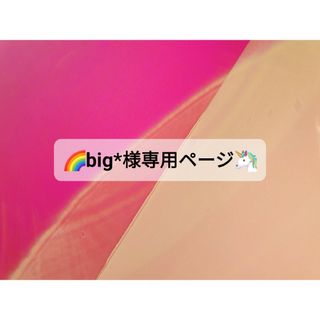 G 白ピンク 胡蝶蘭 big*様専用(ヘッドドレス/ドレス)