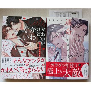 運命だけどあいいれない 永条エイかわいいけどかわいくない　BL 2冊 セット(ボーイズラブ(BL))