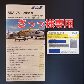 エーエヌエー(ゼンニッポンクウユ)(ANA(全日本空輸))のANA 全日空 最新★株主優待券 1枚(その他)