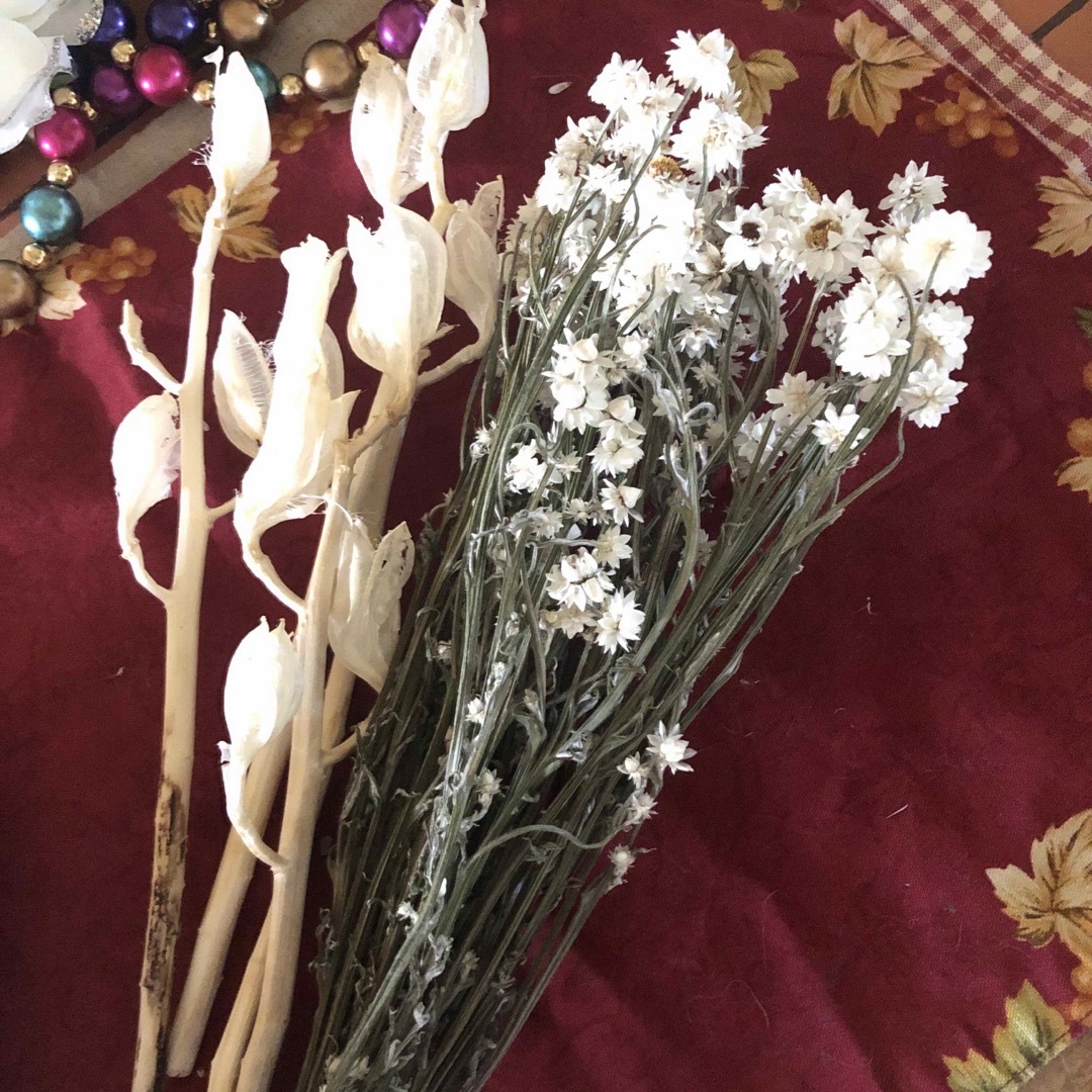 花材　ホワイト＆アイボリー　デイジーミニとブリーチドウバユリ　2種 ハンドメイドのフラワー/ガーデン(ドライフラワー)の商品写真