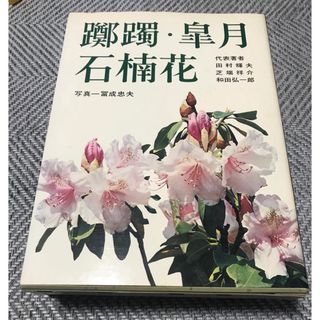 美術本(書)