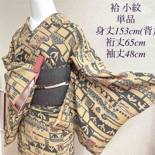 袷 正絹 小紋 着物 ベージュ  裄65cm 和服 呉服 和装 縮緬(着物)