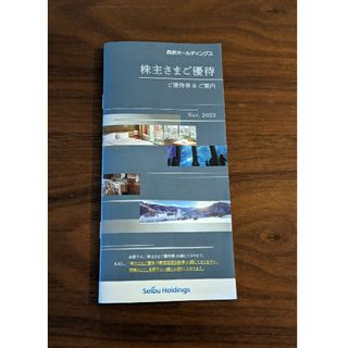 西武ホールディングス　株主優待券【匿名配送】(その他)