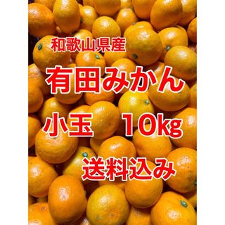 アリダミカン(有田みかん)の和歌山県産　有田みかん　小玉　10㎏　家庭用　送料込み(フルーツ)