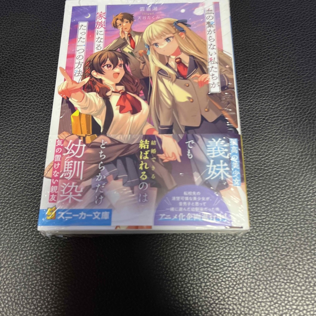血の繋がらない私たちが家族になるたった一つの方法 エンタメ/ホビーの本(文学/小説)の商品写真