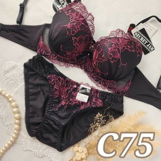 №301【C75】シアーエンブロイダリーブラジャー&フルバックショーツ(ブラ&ショーツセット)