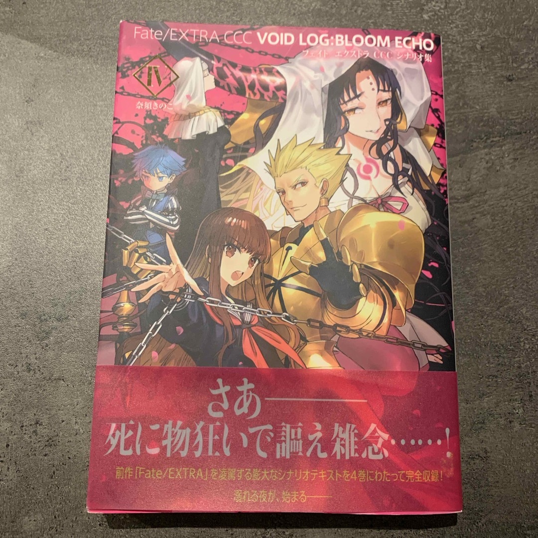 Fate EXTRA CCC VOID LOG：BLOOM ECHO IV フェ エンタメ/ホビーの本(その他)の商品写真
