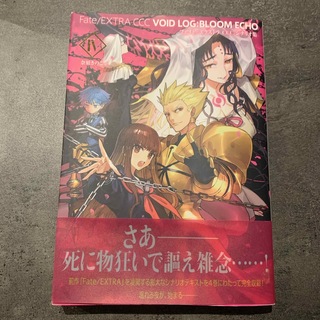 Fate EXTRA CCC VOID LOG：BLOOM ECHO IV フェ(その他)
