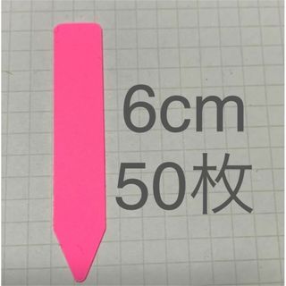 園芸 ラベル  桃　ピンク 6cm  50枚(その他)