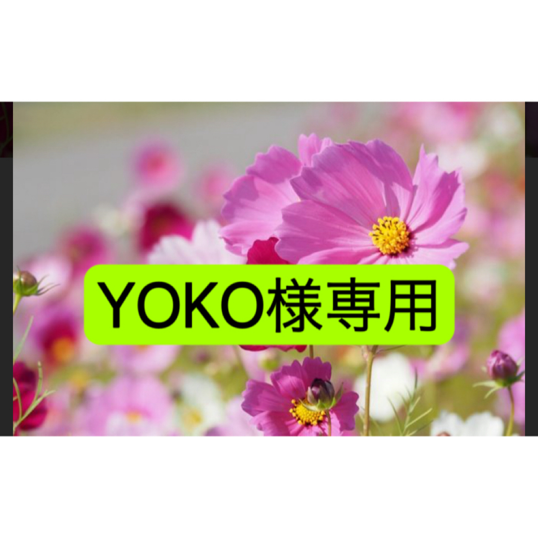YOKO様専用 コスメ/美容のスキンケア/基礎化粧品(美容液)の商品写真