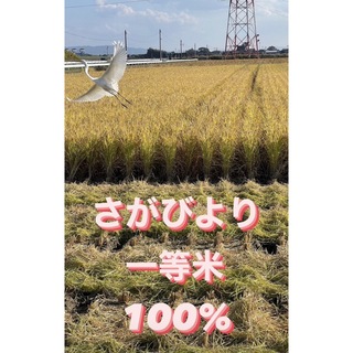 ⭐️新米 令和5年産1等米⭐️佐賀県産さがびより5k(米/穀物)