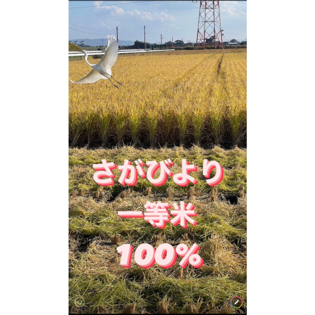 ⭐️新米 令和5年産1等米⭐️佐賀県産さがびより20k(5k×2袋)食品/飲料/酒