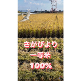 ⭐️新米 令和5年産1等米⭐️佐賀県産さがびより20k(5k×2袋)(米/穀物)