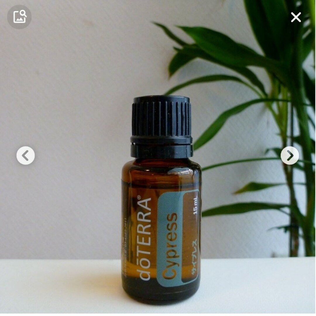 doTERRA(ドテラ)のアロマサイプレス　エッセンシャルオイル コスメ/美容のリラクゼーション(エッセンシャルオイル（精油）)の商品写真