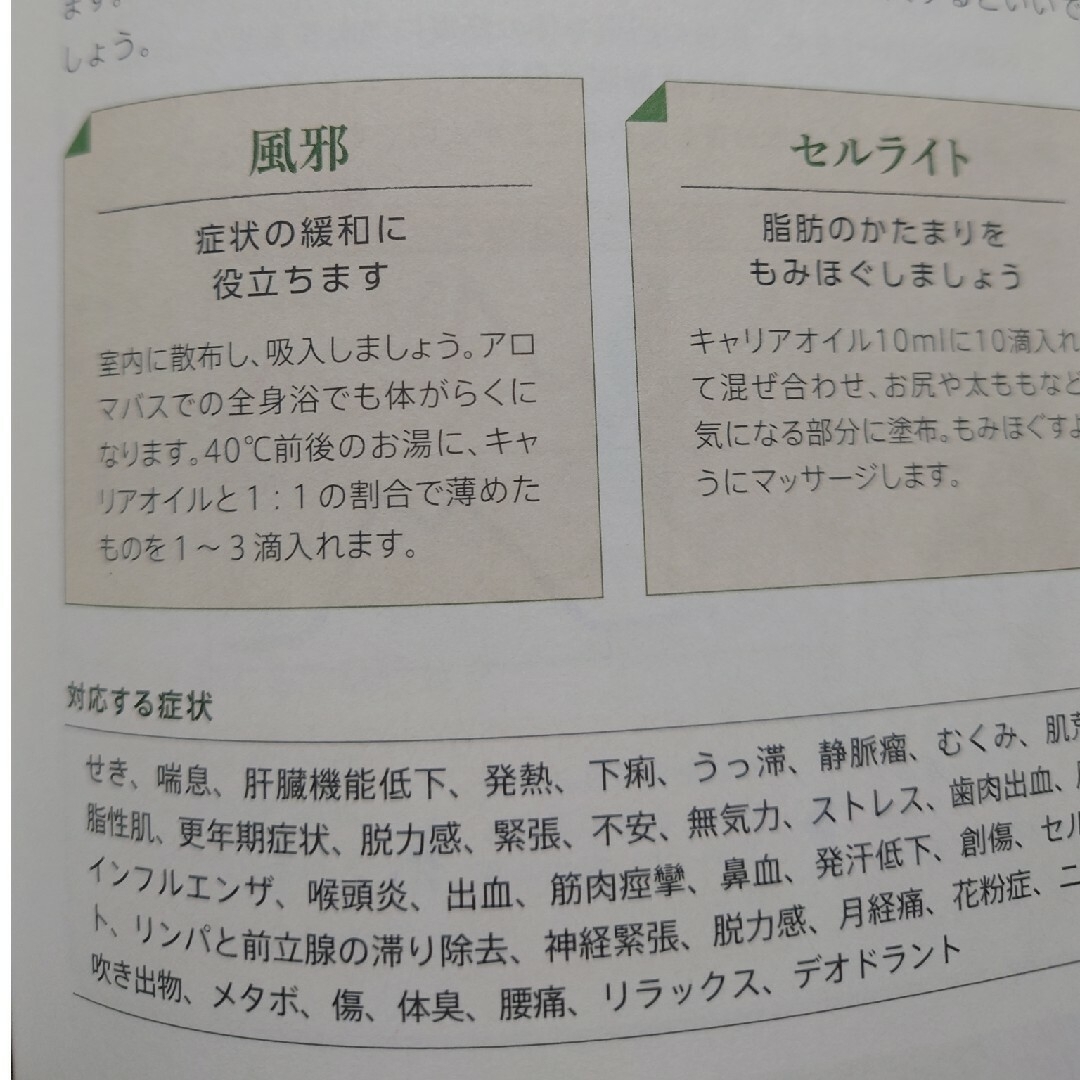 doTERRA(ドテラ)のアロマサイプレス　エッセンシャルオイル コスメ/美容のリラクゼーション(エッセンシャルオイル（精油）)の商品写真