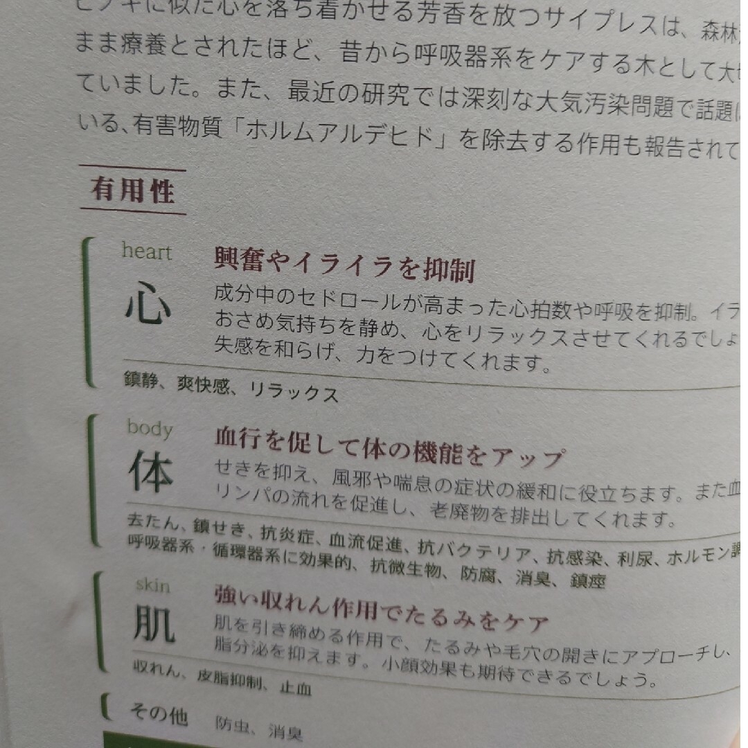 doTERRA(ドテラ)のアロマサイプレス　エッセンシャルオイル コスメ/美容のリラクゼーション(エッセンシャルオイル（精油）)の商品写真