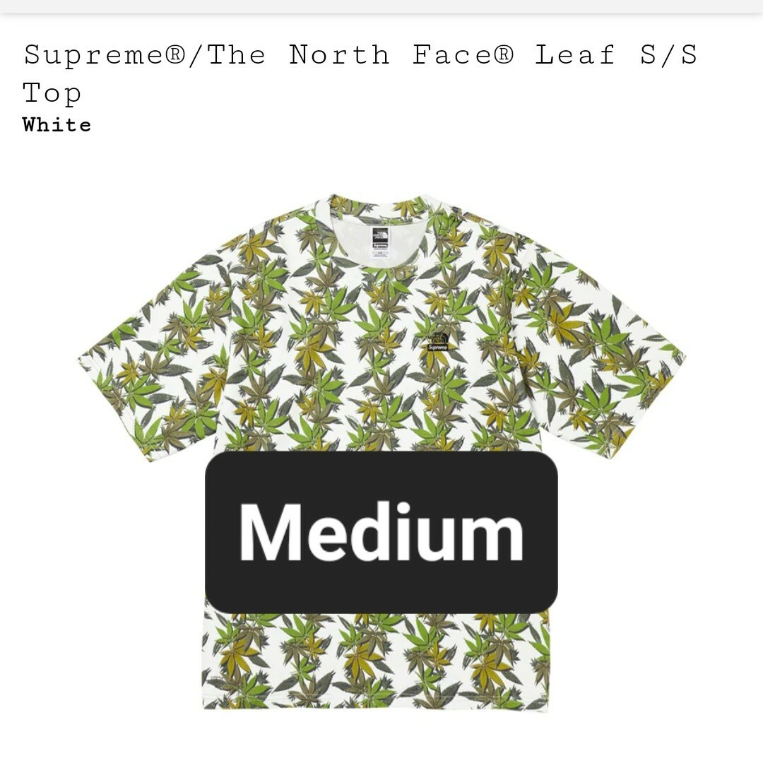 supreme the north face leaf S/S top supreme the north face leaf S/S top