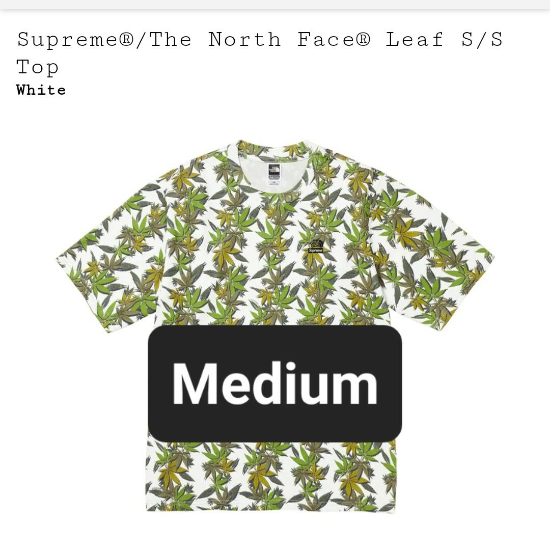 supreme the north face leaf S/S topトップス