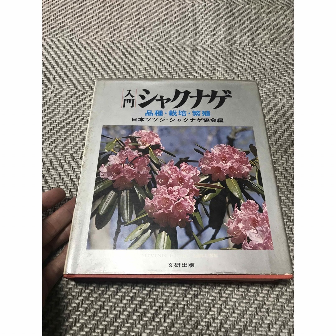 入門シャクナゲ エンタメ/ホビーの本(語学/参考書)の商品写真