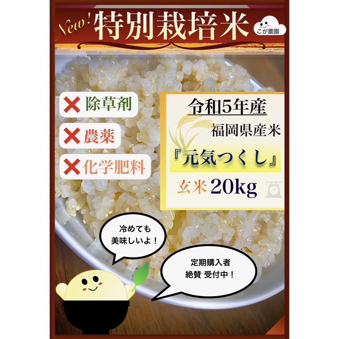 玄米準自然米　福岡県産「元気つくし」令和５年産　玄米20kg   発芽玄米におすすめ