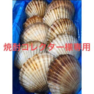 焼酎コレクター様専用　活ホタテ(魚介)