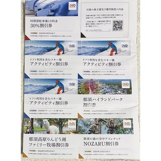 日本スキー場開発 株主優待 紙チケット7枚(スキー場)