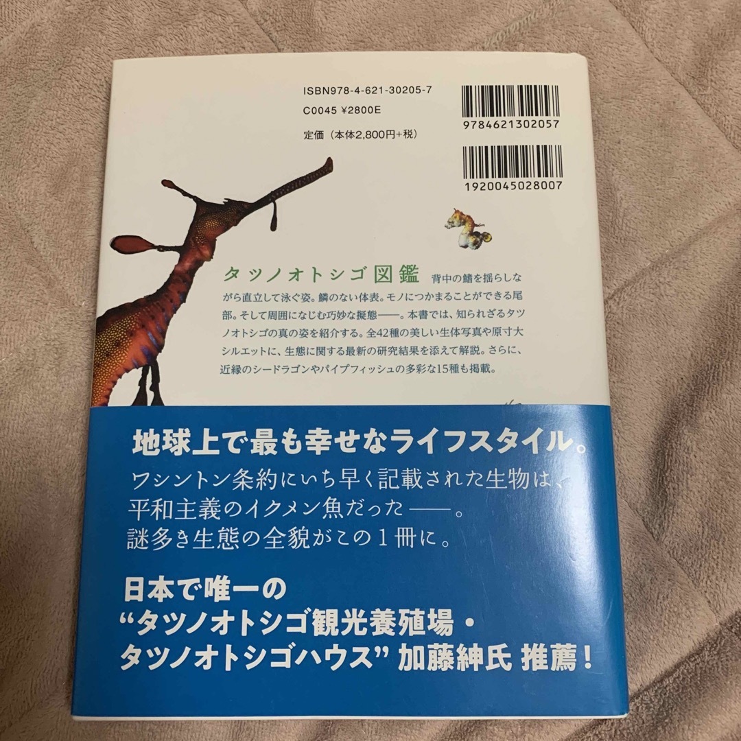 タツノオトシゴ図鑑 エンタメ/ホビーの本(科学/技術)の商品写真