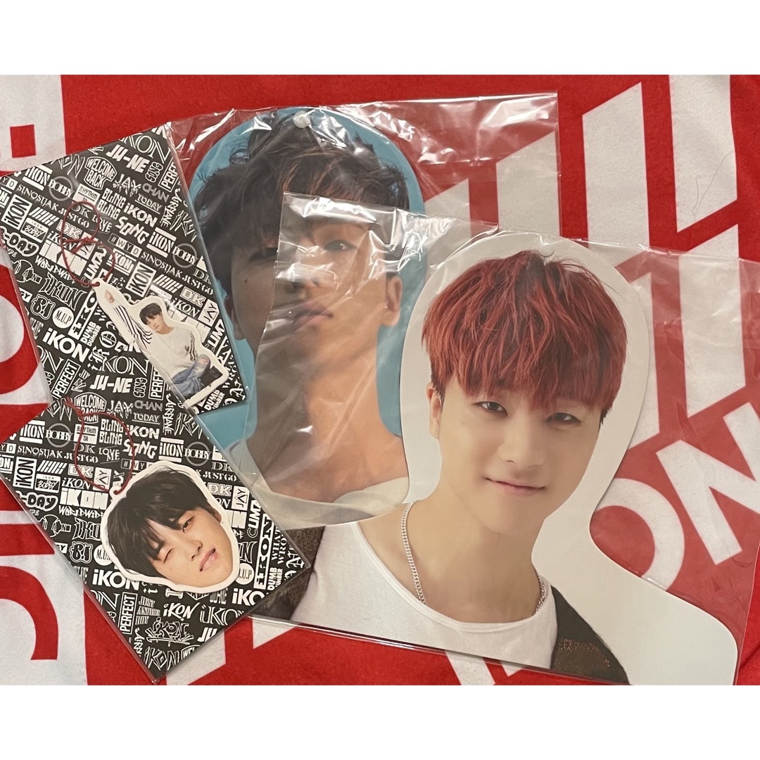 iKON(アイコン)のiKON JINHWAN JAY ジナン　フォトハンガー　ぶらさがり エンタメ/ホビーのタレントグッズ(アイドルグッズ)の商品写真