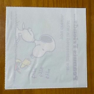 スヌーピー(SNOOPY)のスヌーピーのマルチクロス　家庭画報(タオル)