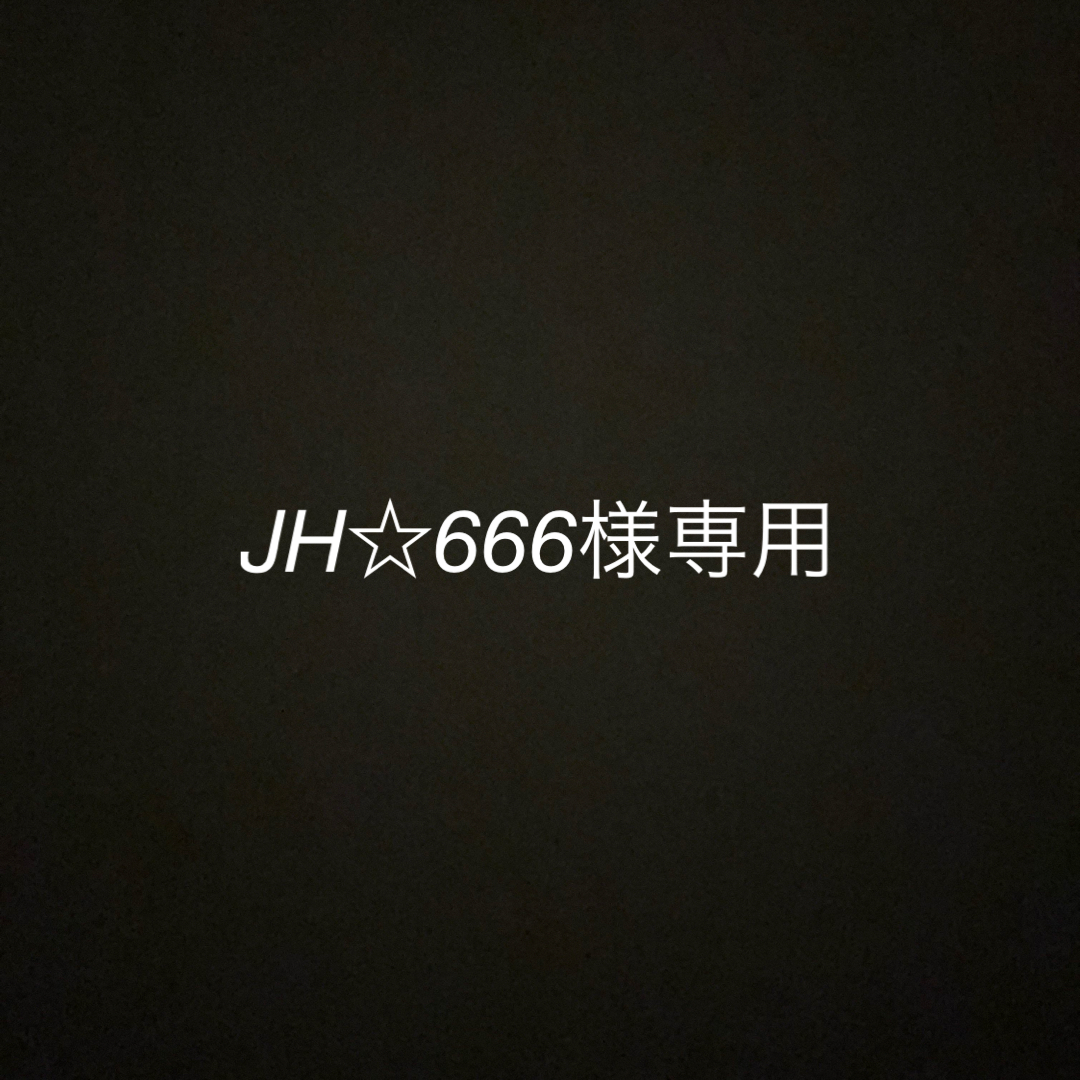 JH☆666様専用出品 ハンドメイドのアクセサリー(アンクレット)の商品写真