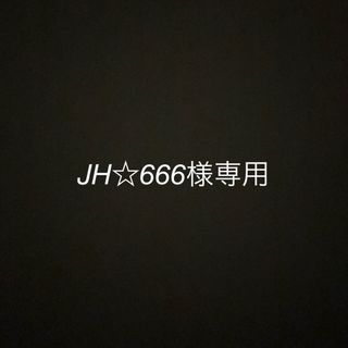 JH☆666様専用出品(アンクレット)