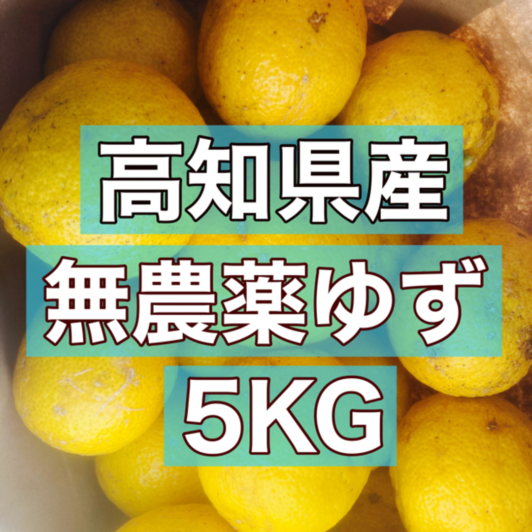 【予約受付中】高知県産　無農薬ゆず　5kg 食品/飲料/酒の食品(フルーツ)の商品写真