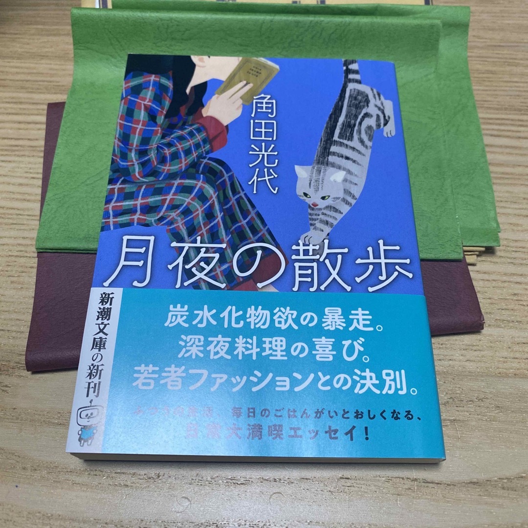 月夜の散歩 エンタメ/ホビーの本(文学/小説)の商品写真