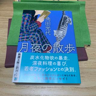 月夜の散歩(文学/小説)