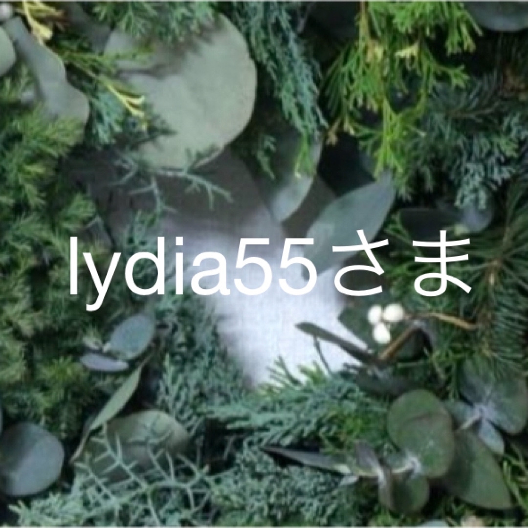 lydia55さま専用ハンドメイド