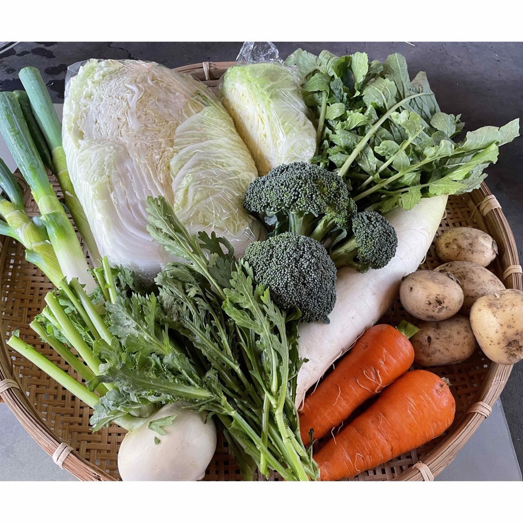 季節のお野菜詰め合わせ 80サイズ  愛媛県産 食品/飲料/酒の食品(野菜)の商品写真