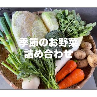 季節のお野菜詰め合わせ 80サイズ  愛媛県産(野菜)