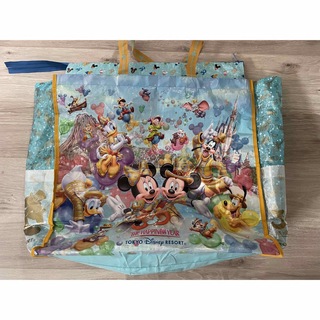 ディズニー(Disney)のディズニーランド　30周年　ショッピングバッグ　お土産　ミッキー(ショップ袋)