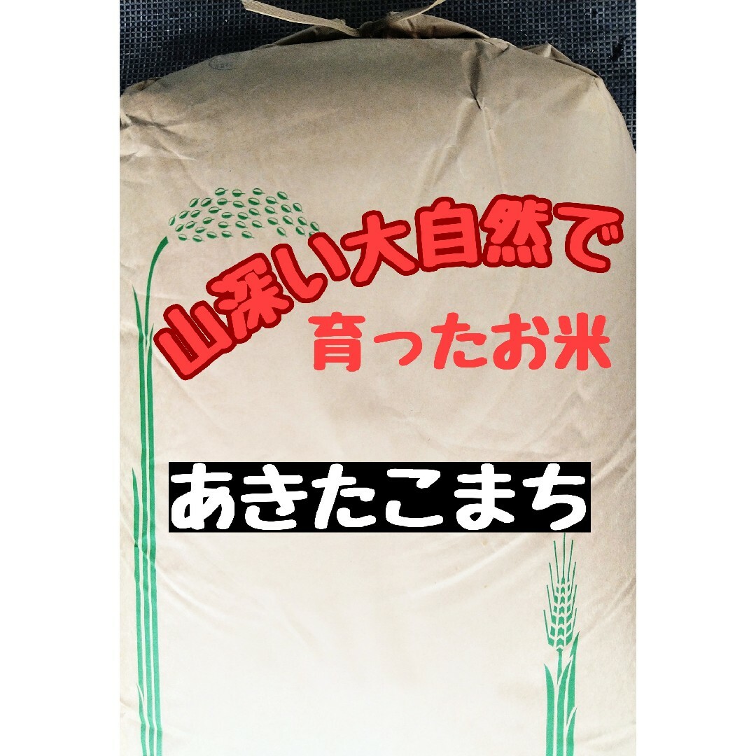 お米マイスター's　広島県産あきたこまち玄米30kg(令和5年産)の通販　by　shop｜ラクマ