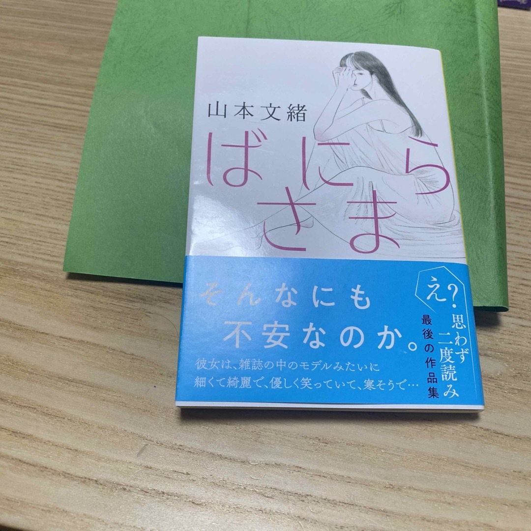 ばにらさま エンタメ/ホビーの本(文学/小説)の商品写真