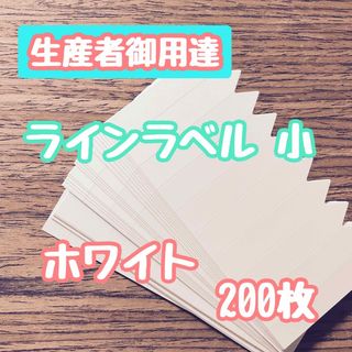 ラインラベル 小 白 200枚 園芸カラーラベル 多肉植物 エケベリア(プランター)