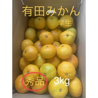 有田みかん　宮川早生　秀品　3kg(フルーツ)