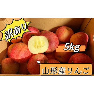 山形県産　りんご　サンフジ　訳あり　5kg (フルーツ)