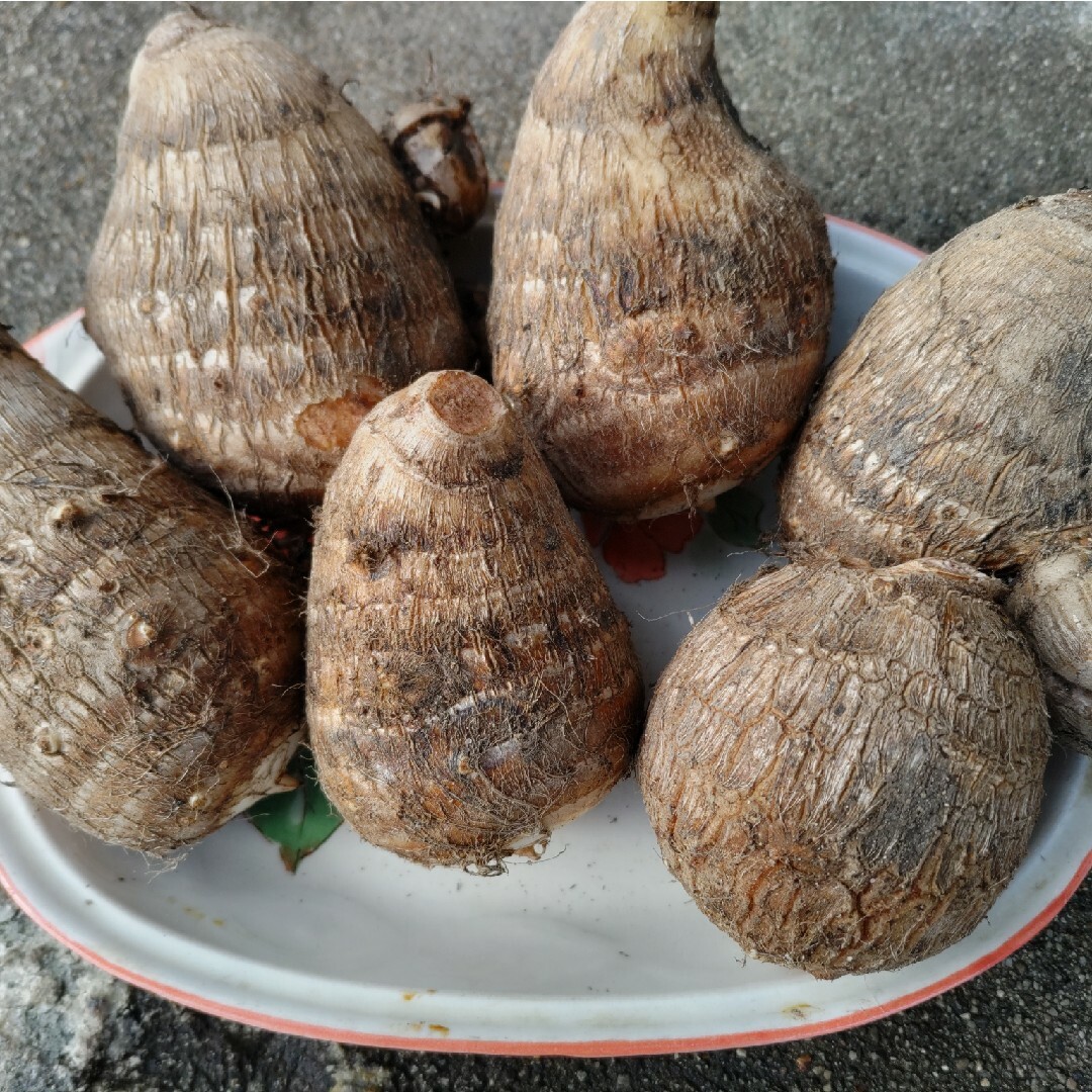 里芋・1.3㌔程❣️無農薬 食品/飲料/酒の食品(野菜)の商品写真