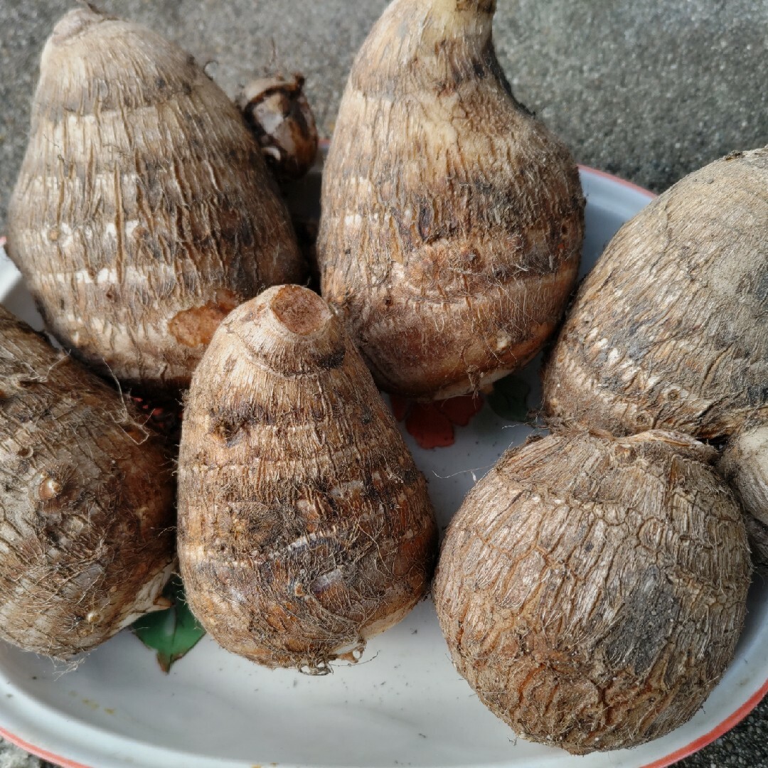 里芋❣️3㌔程、無農薬 食品/飲料/酒の食品(野菜)の商品写真