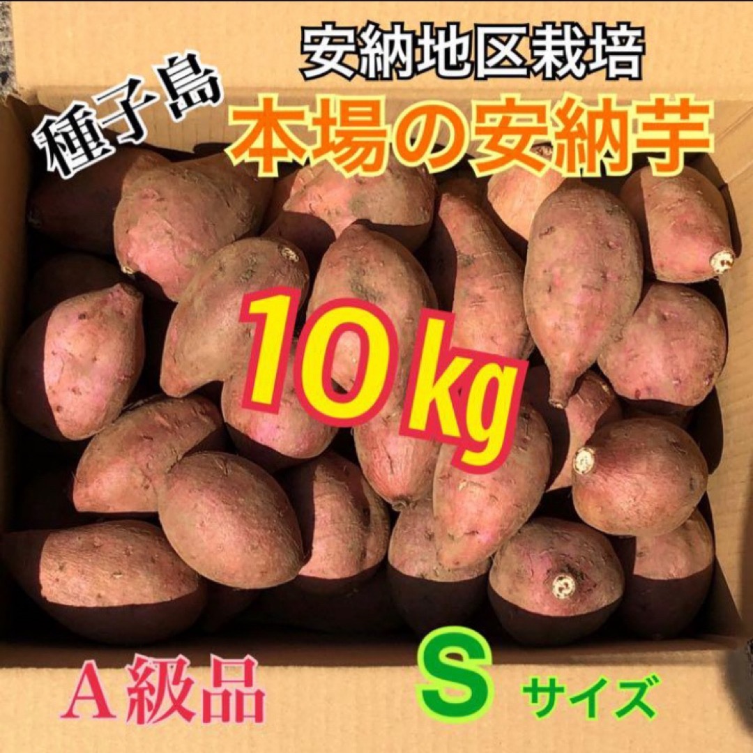 種子島種子島 農家直送！安納地区の安納芋 M 10キロ A級品 - 野菜