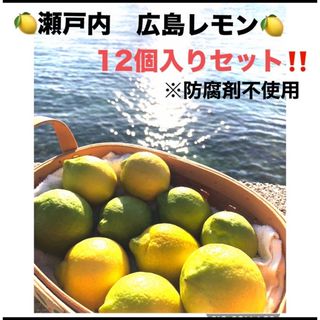 瀬戸内　広島瀬戸内レモン　12個入りセット　防腐剤不使用　訳あり(フルーツ)