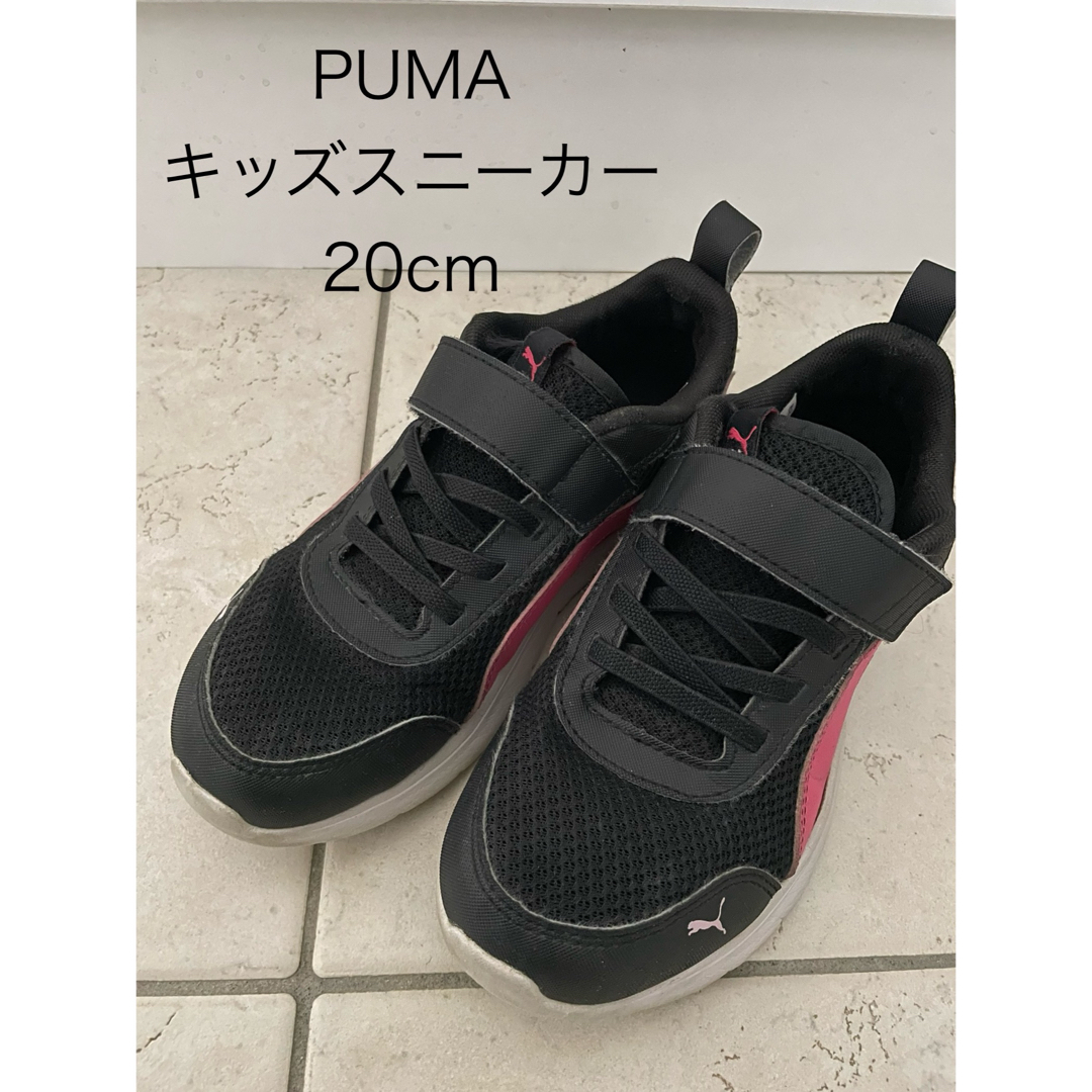 PUMA(プーマ)の【puma】キッズスニーカー　20cm キッズ/ベビー/マタニティのキッズ靴/シューズ(15cm~)(スニーカー)の商品写真