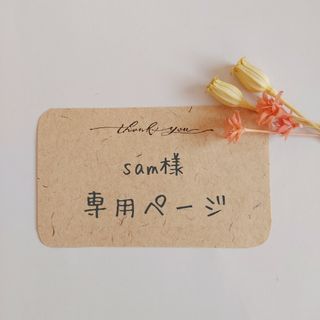 【sam様専用】ハンドメイド パッチンピン 8点(ファッション雑貨)